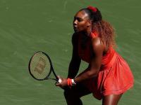 贝博体育- 蒂姆现状 